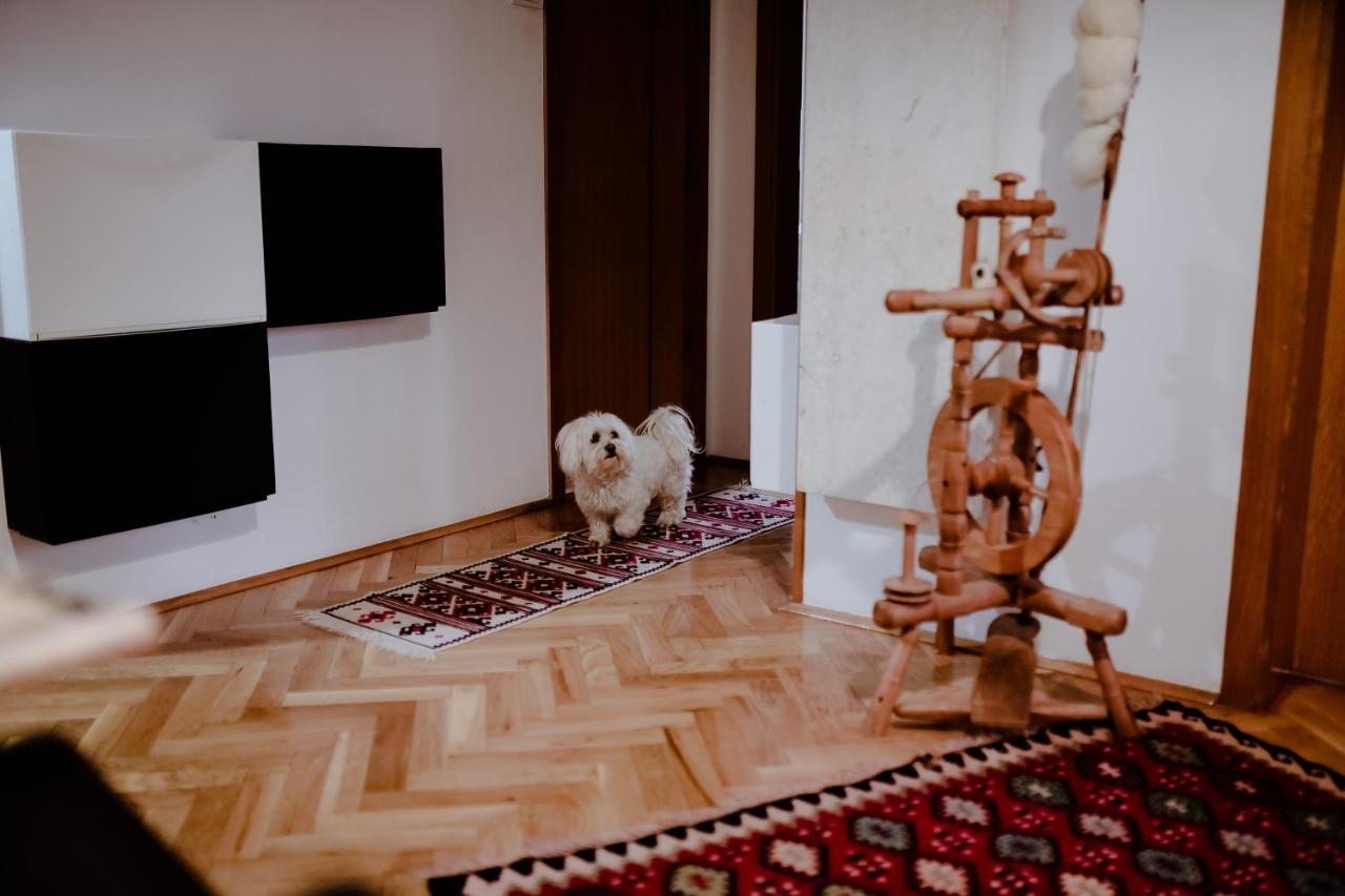 Apartment Suncana Dolina Zlatibor Extérieur photo